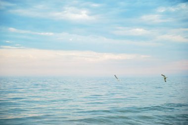 Mavi gökyüzü arka plan üzerinde su yüzeyi üzerinde uçan martılar ile Ressamlık deniz manzarası sahne 