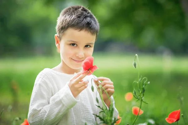 快乐小男孩抱着红色罂粟花在夏天的绿色草地上 儿童日的概念 — 图库照片