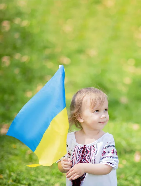 Menina Bordado Tradicional Carregando Fluttering Bandeira Azul Amarela Ucrânia Campo — Fotografia de Stock