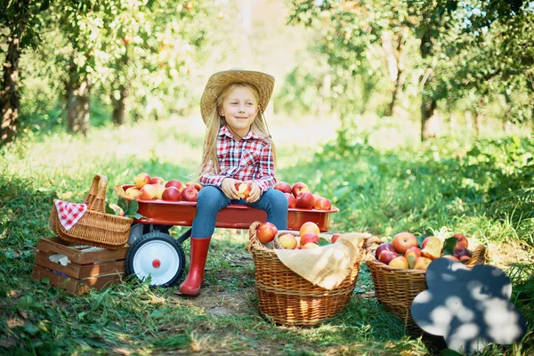 Niña Rubia Sentada Carro Con Manzanas Cerca Cestas Huerto Frutas — Foto de Stock