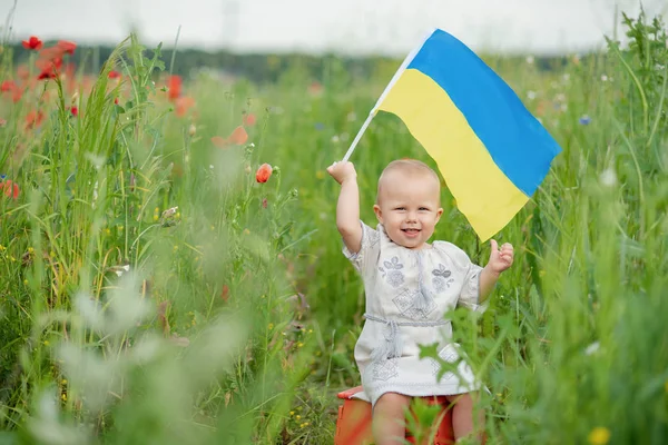 Criança carrega fluttering bandeira azul e amarela da Ucrânia no campo. Dia da Independência da Ucrânia. Dia da Bandeira. Dia da Constituição. Menina em bordado tradicional com bandeira da Ucrânia . — Fotografia de Stock