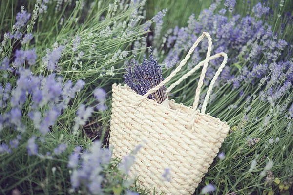 Lavender flowers in lavender field. Ladang ungu lavender musim panas. soft focus daerah untuk latar belakang. — Stok Foto
