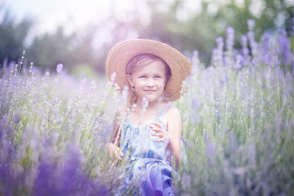 夏の紫のラベンダー畑で花の間に立つデニムドレスで麦わら帽子の小さな女の子を微笑む — ストック写真
