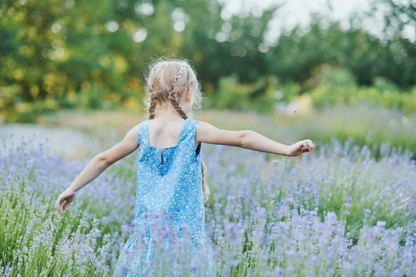 Petite fille dans un champ de lavande. fantasme des enfants. Souriant fille renifler fleurs en été pourpre champ de lavande . — Photo