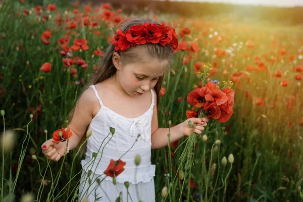 Ucrania Hermosa Niña Corona Flores Recoger Amapolas Acianos Campo Verano — Foto de Stock