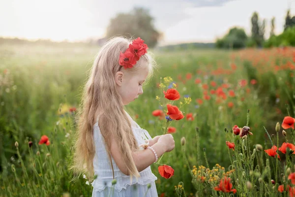 阳光灿烂的夏天 乌克兰美丽的小女孩头戴花环 在田野里采摘罂粟和玉米花 — 图库照片
