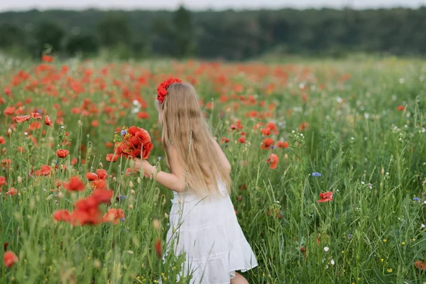 回头看乌克兰美丽的小女孩走在夏天的罂粟和玉米花的花卉领域 — 图库照片