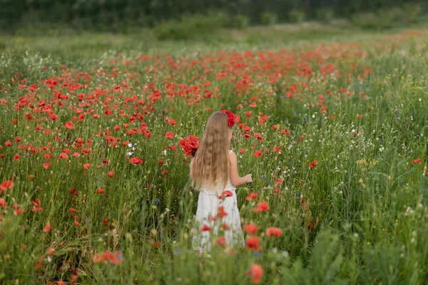 ポピーとトウモロコシの花の夏の花畑を歩くウクライナの美しい小さな女の子のバックビュー — ストック写真