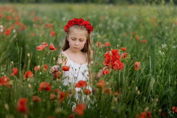 Украинская Красивая Маленькая Девочка Цветочном Венке Собирает Маки Кукурузные Цветы — стоковое фото