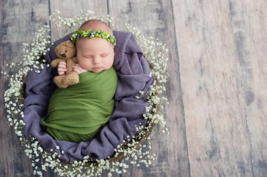 10 gün eski yenidoğan bebek pamuk kumaş tutan ayı oyuncak ve sepet uyku sarılmış. Yaşamın başlangıcı ve mutlu peri büyü çocukluk konsepti