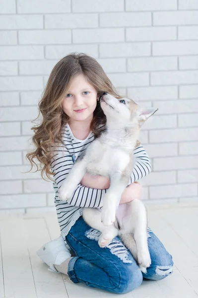 Roztomilá holčička, která se na bílém pozadí uhání na bílé štěně. — Stock fotografie