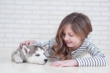 Beyaz bir arka plan üzerinde husky köpek yavrusu sarılma Sevimli küçük kız.