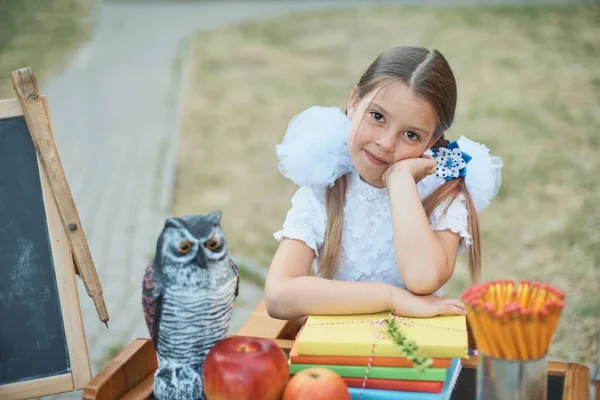 Nettes Erstklässlermädchen Sitzt Schreibtisch Mit Schulausrüstung Vor Dem Hintergrund Des — Stockfoto