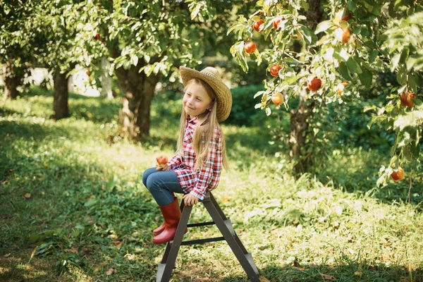 Girl Eating Apple Sitting Wooden Ladder While Resting Orchard Harvest — Stock Photo, Image