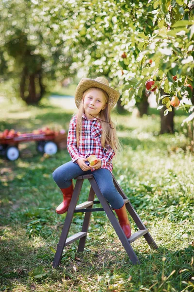 Girl Eating Apple Sitting Wooden Ladder While Resting Orchard Harvest — Stock Photo, Image