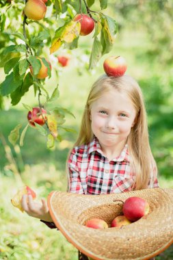 baş ayakta meyve bahçesi üzerinde elma ile kız ve çiftlikte aldı meyve ile hasır şapka tutan, Hasat Kavramı 