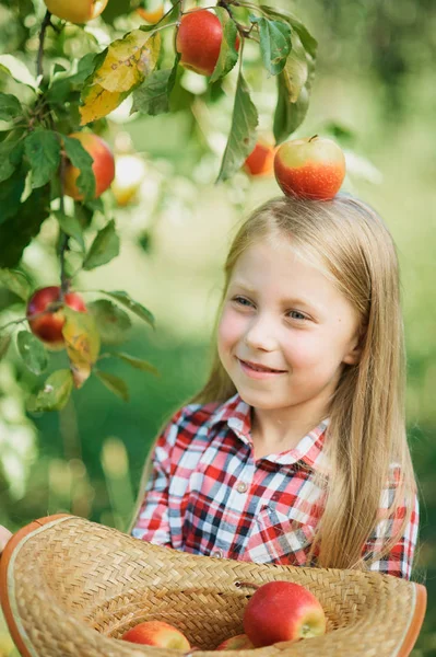 Niña Con Manzana Cabeza Pie Huerto Celebración Sombrero Mimbre Con — Foto de Stock