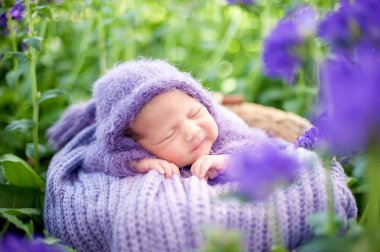 17 günlük yeni doğan bebek çayırda mor çiçekler arasında sepet içinde uyku yünlü ekose sarılmış , Hayatın başlangıcı ve mutlu çocukluk kavramı
