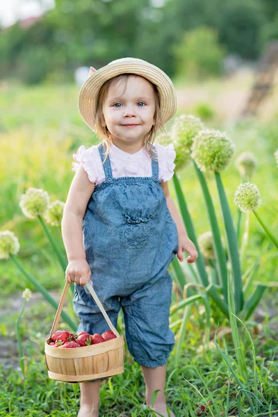 Organik Çiftlikte Çilek Aldı Ile Sepet Tutan Küçük Çiftçi Kız — Stok fotoğraf