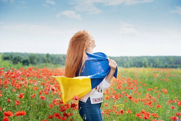 Girl carries fluttering blue and yellow flag of Ukraine in field. Ukraine's Independence Day. Flag Day. Constitution day. Woman in traditional embroidery with flag of Ukraine. 24 August. Patriotic holiday.