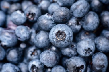 Isluzun taze Blueberry arka plan. seçici odakla yakın çekim
