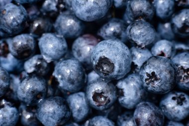 Isluzun taze Blueberry arka plan. seçici odakla yakın çekim