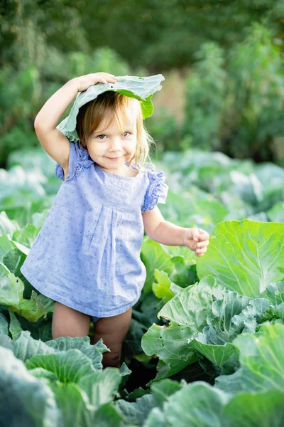 Baby zittend in kool plant. Schattig klein meisje op kool veld. — Stockfoto