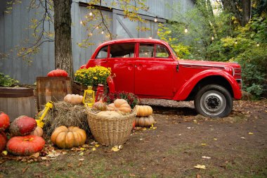Bahçede kırmızı retro araba moskvich yakın Şükran günü süslemeleri, sonbahar tatil konsepti  