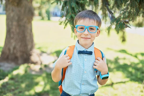 Portrait Clever Happy Boy Glasses Shirt Butterfly Backpack First Time — Stock Photo, Image