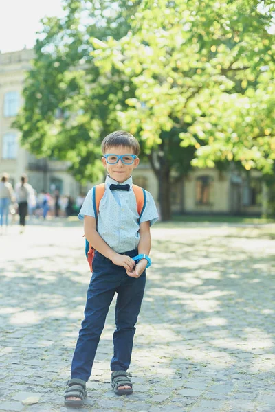 身穿衬衫和蝴蝶的聪明快乐男孩的画像 第一次去学校 回学校去 聪明的小男孩 生活方式和成功的概念 — 图库照片