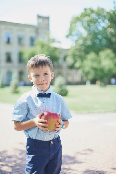 穿着衬衫和蝴蝶的聪明快乐男孩的画像 第一次去学校 回学校去聪明的小男孩 生活方式和成功的概念 — 图库照片
