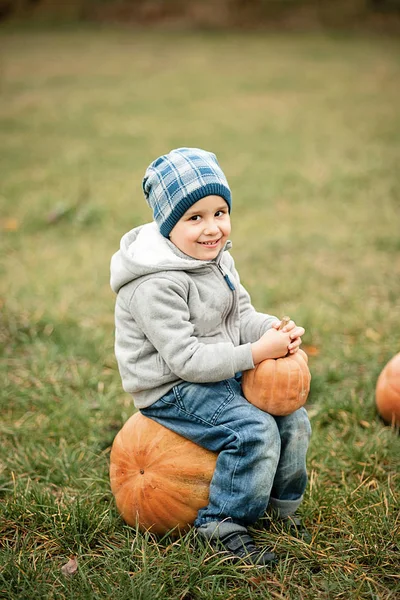 Joyeux petit garçon sur le patch de citrouille le jour d'automne froid, avec beaucoup de citrouilles pour Halloween ou thanksgiving — Photo