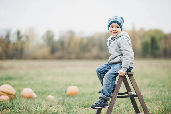 寒い日秋、多くのカボチャのハロウィーンやサンクスギビングとパンプキン パッチに幸せな少年の幼児 — ストック写真