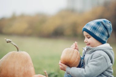 kabaklar halloween veya Şükran günü için çok soğuk sonbahar gününde kabak yama üzerinde mutlu küçük yürümeye başlayan çocuk