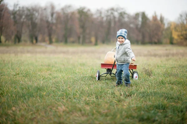 행복 한 유아 소년 추수 감사절 이나 할로윈 호박 많이 추운가 날에 호박 밭에 — 스톡 사진