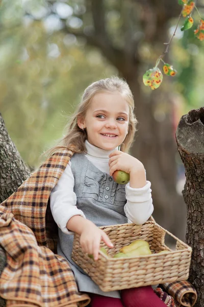 Niño recogiendo manzanas en la granja en otoño. Niña jugando en el huerto de manzanos. Nutrición saludable . — Foto de Stock