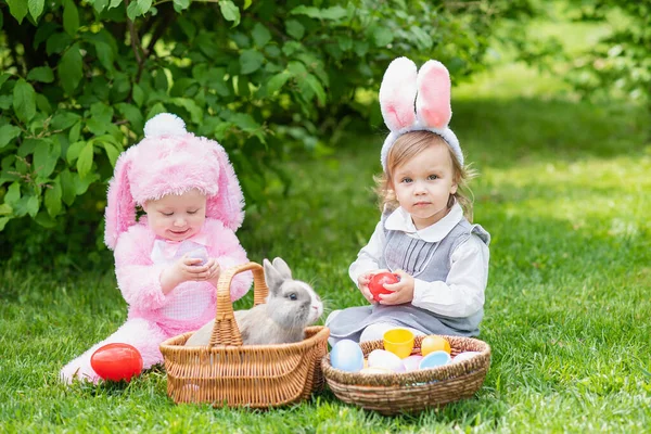 Маленькие Милые Девочки Кроличьих Ушах Костюме Играют Кроликом Сидя Рядом — стоковое фото