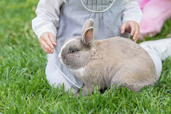 Děti si hrají se skutečným králíkem. Smějící se dítě na velikonoční hon na vajíčka s domácím zajíčkem. — Stock fotografie