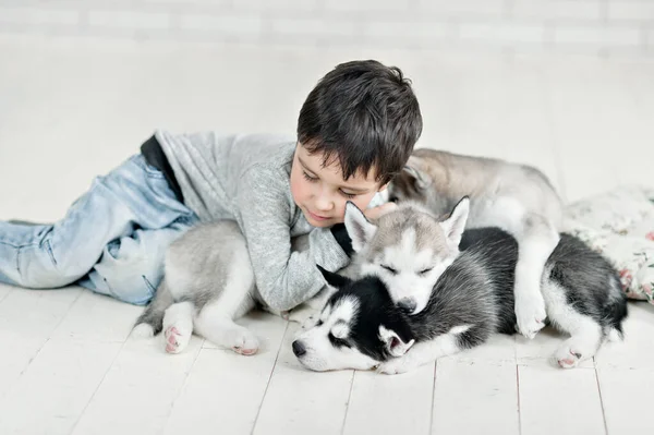 Roztomilý Malý Chlapec Spí Při Objímání Husky Štěňata Bílém Studiu — Stock fotografie