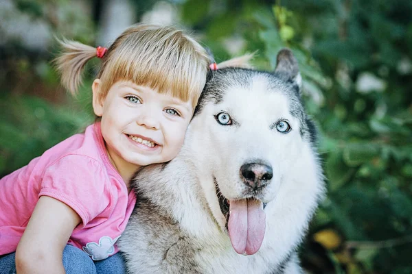 Симпатичная Маленькая Девочка Обнимает Собаку Хаски Парке Хорошая Солнечная Погода — стоковое фото