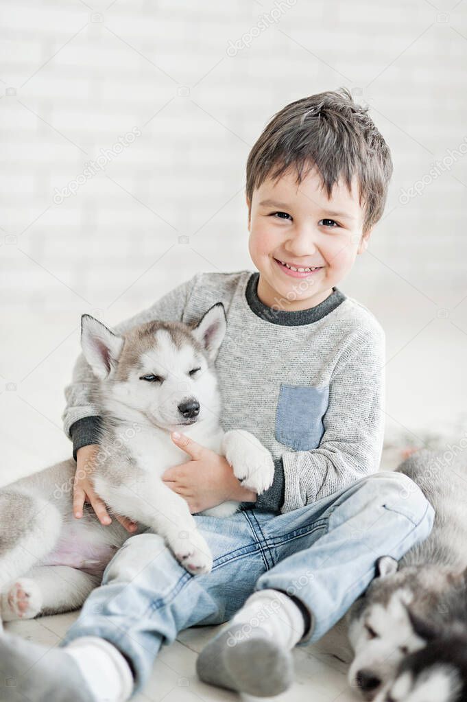 Cute little boy with husky puppies sitting in white studio 