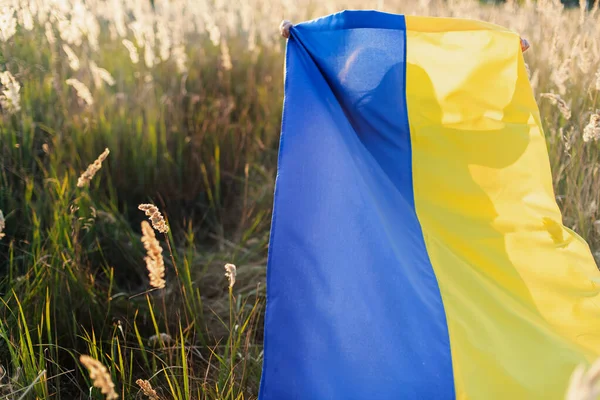 Vista Posterior Niña Con Bandera Azul Amarilla Ondeante Ucrania Caminando — Foto de Stock