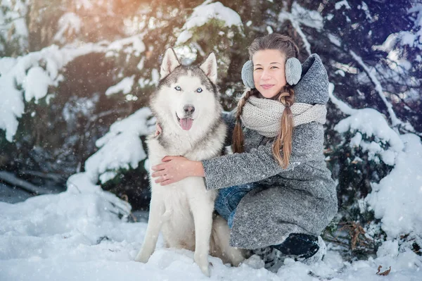 Bela Jovem Casaco Cinza Divertindo Com Marisco Siberiano Floresta Inverno — Fotografia de Stock