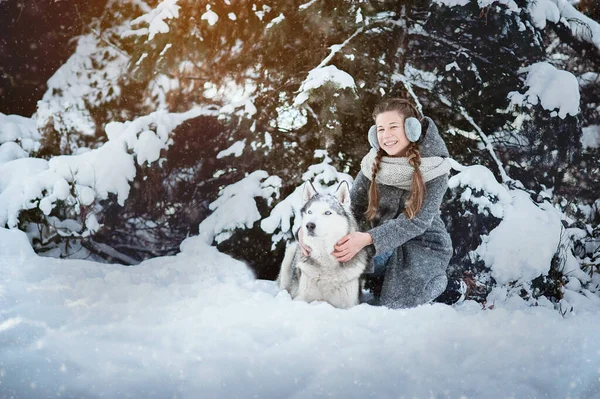 Piękna Młoda Dziewczyna Szarym Płaszczu Zabawy Syberyjskim Husky Zimowym Lesie — Zdjęcie stockowe