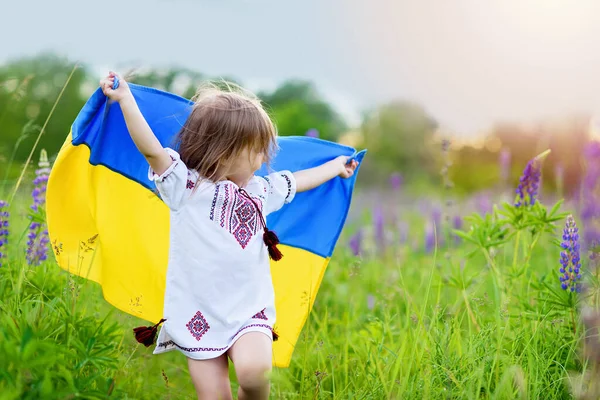 Criança Carrega Fluttering Bandeira Ucrânia Campo Dia Independência Ucrânia Dia — Fotografia de Stock