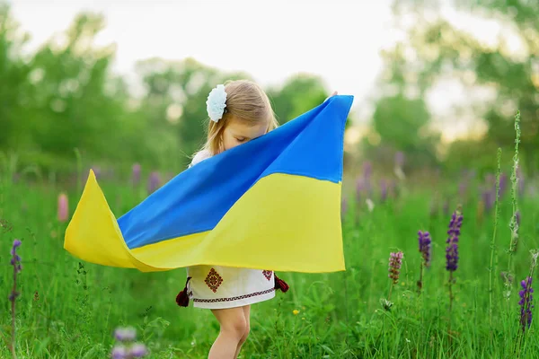 Niño Lleva Ondeando Bandera Ucrania Campo Día Independencia Ucrania Día — Foto de Stock