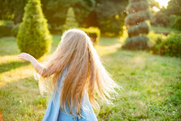 Child Whirling Dancing Plays Meadow Girl Having Fun Bubbles Cute — Stock Photo, Image