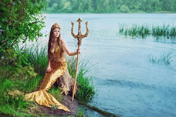Fantezi kadın gerçek deniz kızı deniz tanrıçası altın kuyruklu deniz tanrıçası gün batımında kayalarda oturuyor altın saçlı taç inci kabuk takıyor. Deniz kızı kıyıda oturuyor. fantezi kavramı.