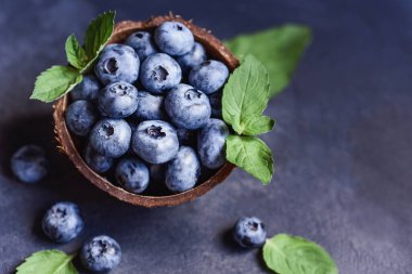Hindistan cevizi kabında koyu arkaplanda taze toplanmış yabanmersini. Sağlıklı organik mevsimlik meyve arka planı. Meyveler yakın plan.