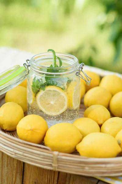 Teller Mit Reifen Frischen Zitronen Und Limonade Salzwasser Vitaminkonzept Kopierraum — Stockfoto